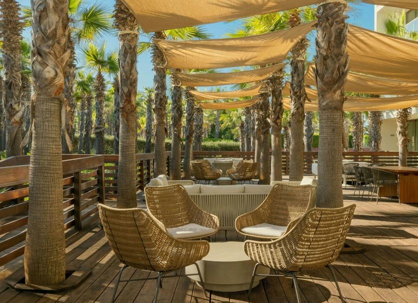Patio Billede