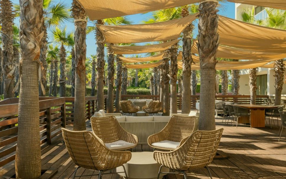 Patio Billede
