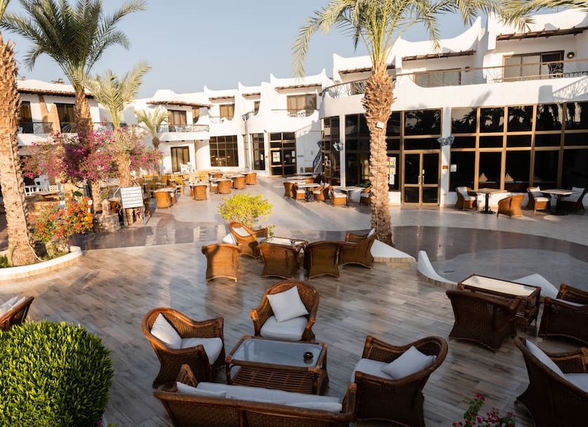 Patio Billede