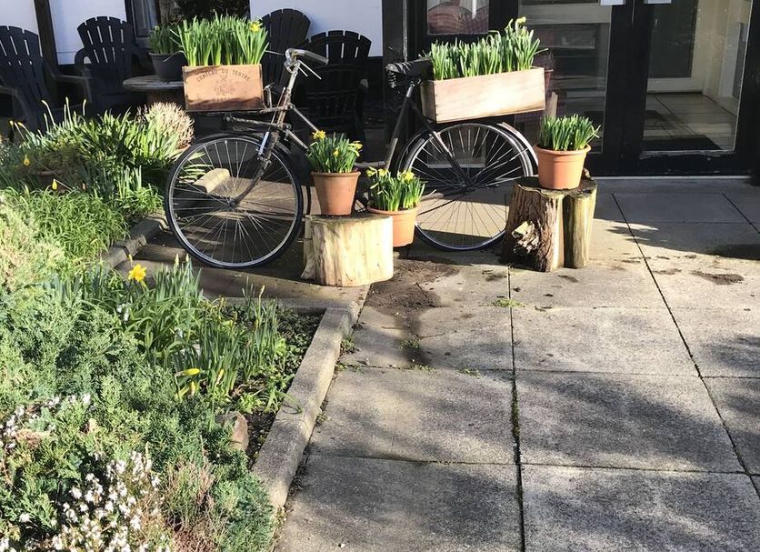Patio Billede
