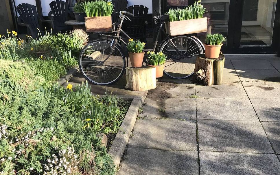 Patio Billede