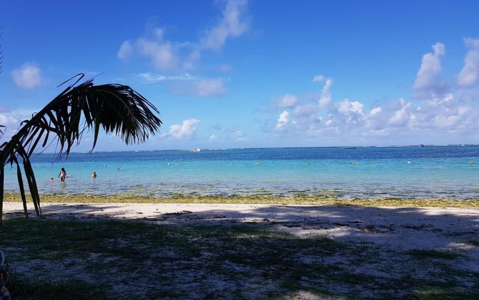 Strand Billede
