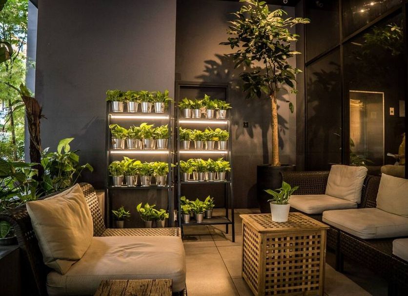 Lounge Billede