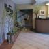 Receptionist