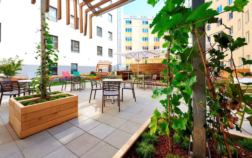 Patio Billede