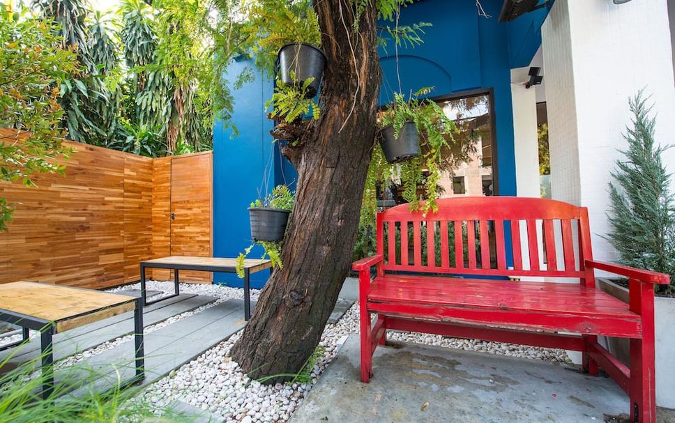 Patio Billede