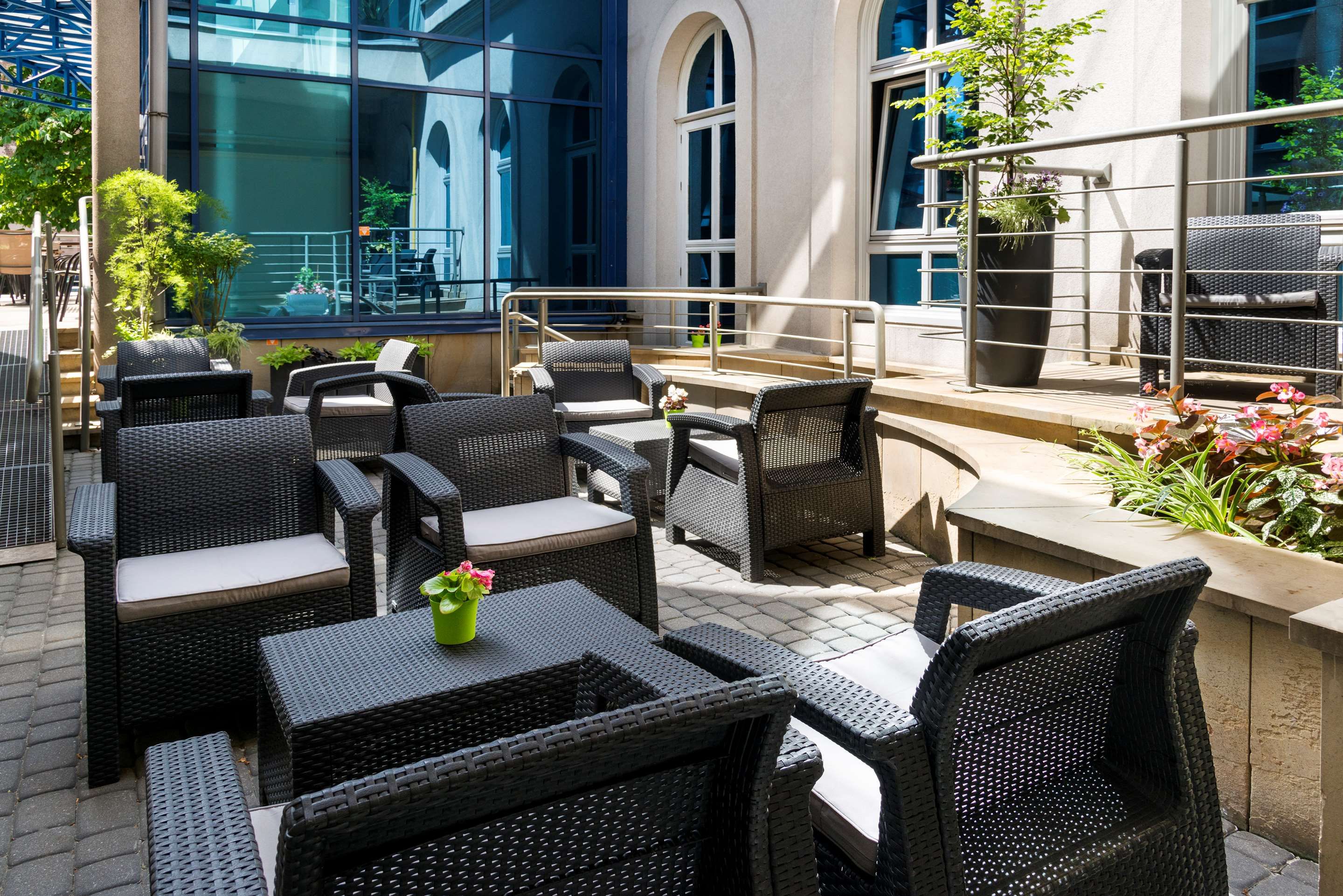 Patio Billede