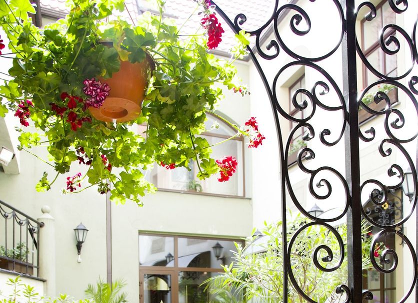 Patio Billede
