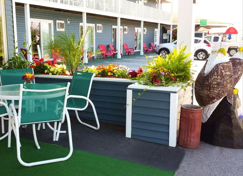 Patio Billede