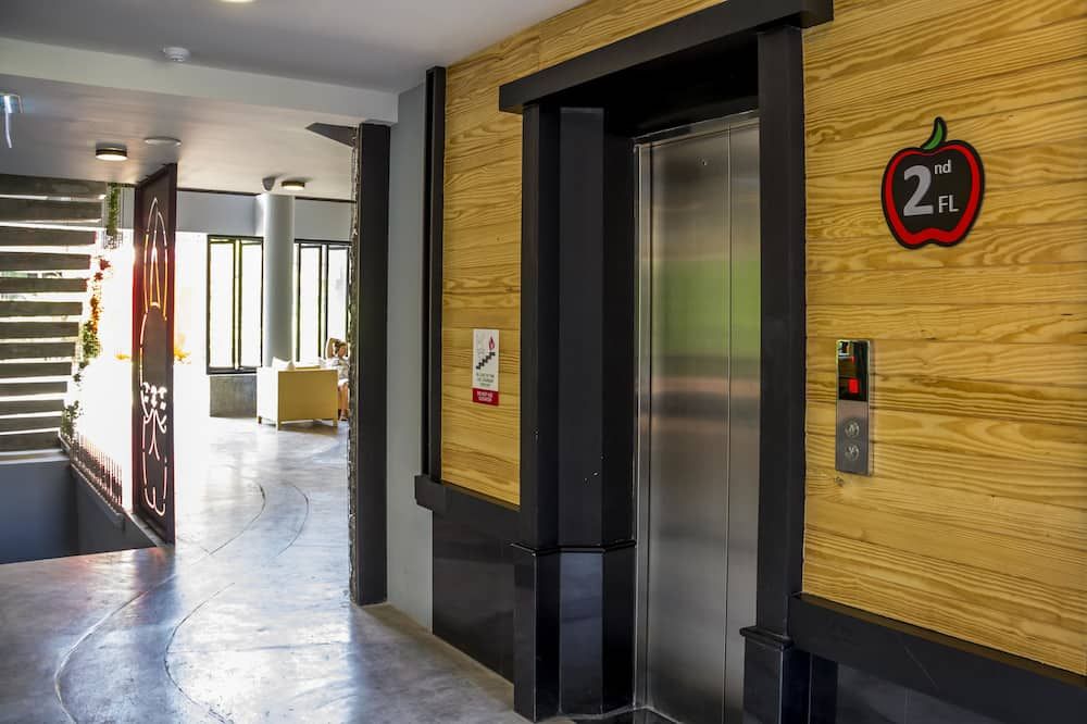 Gang