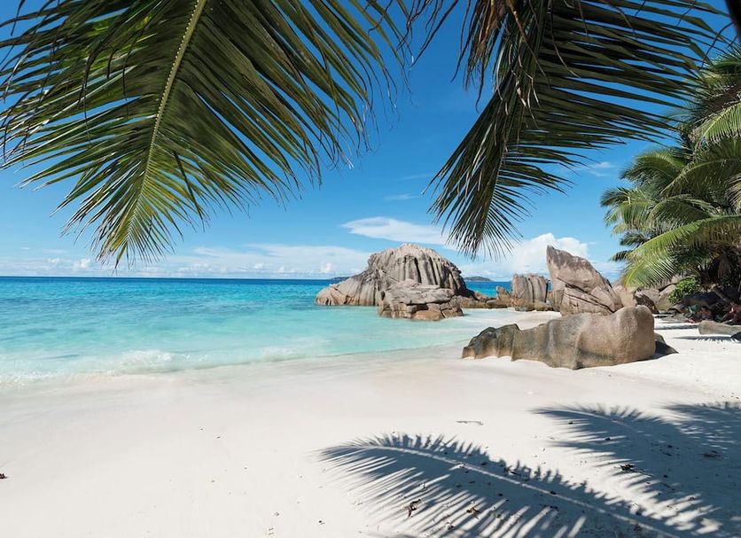 Strand Billede