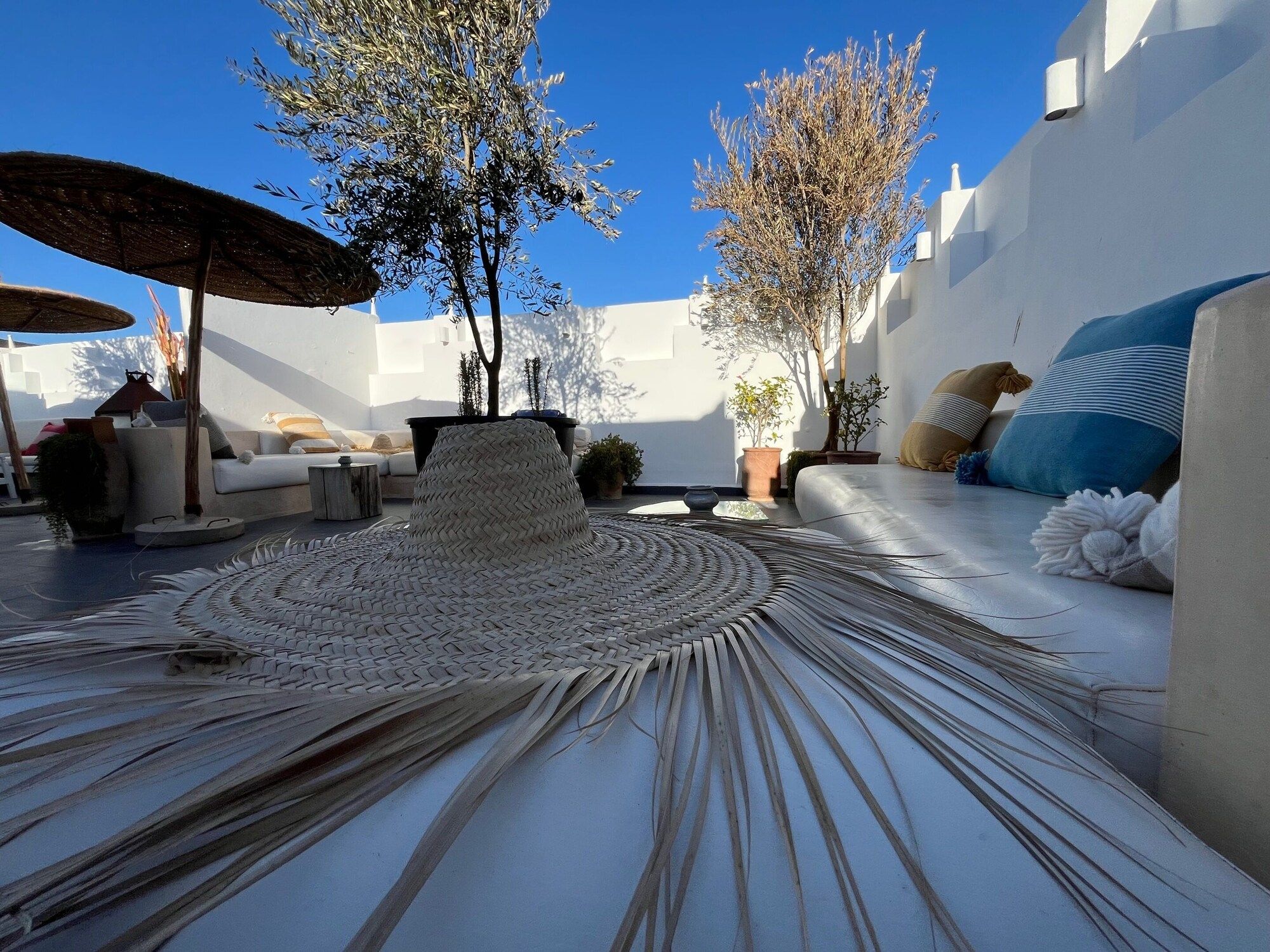 Patio Billede