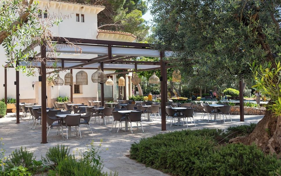 Patio Billede