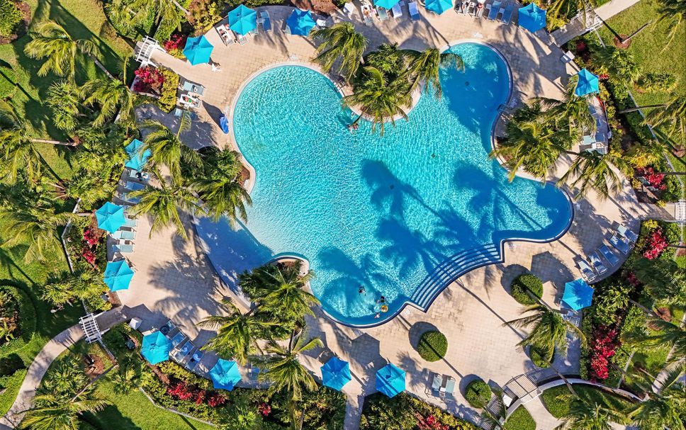 Pool Billede