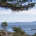 Andet