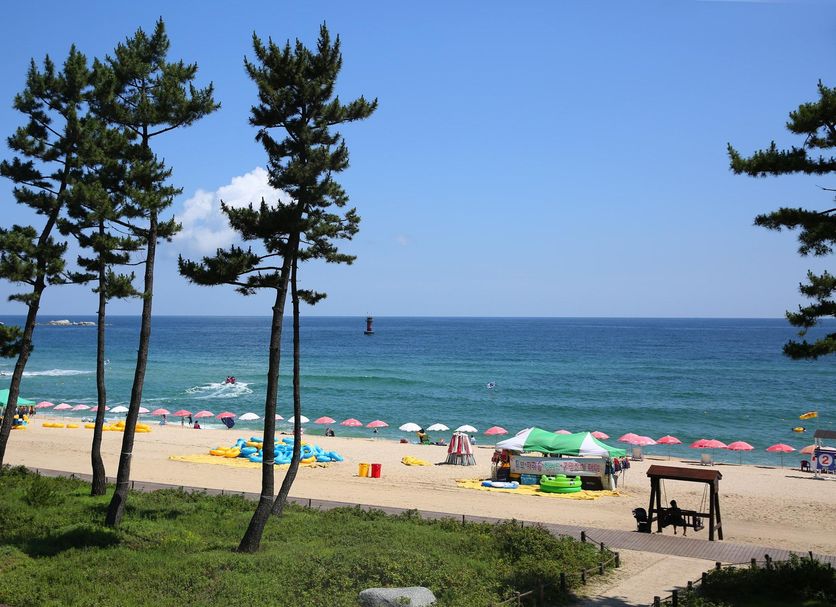 Strand Billede