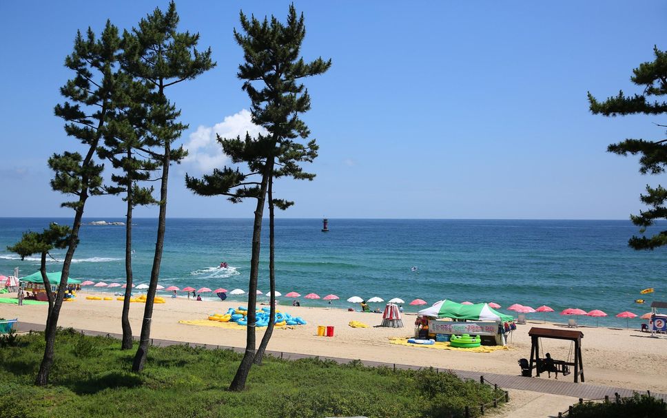 Strand Billede