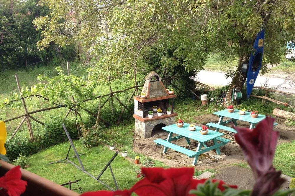 Patio Billede