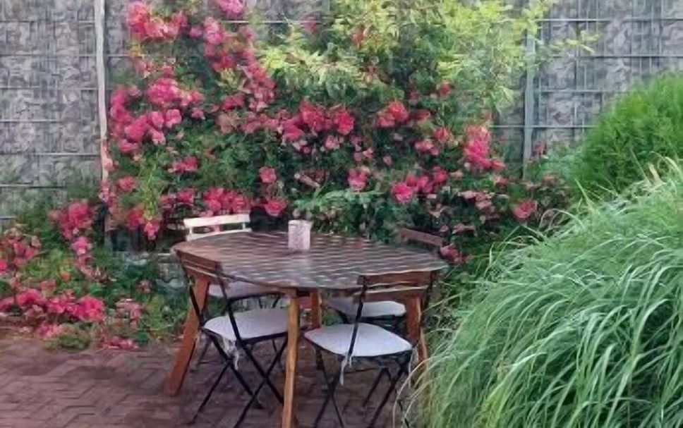 Patio Billede