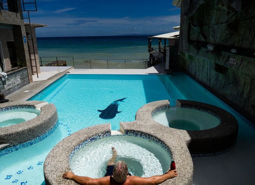 Pool Billede