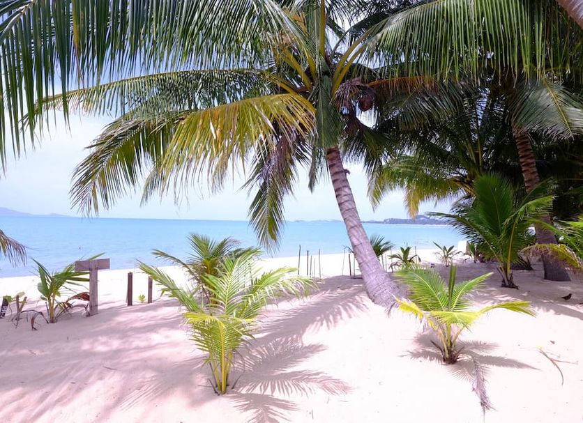 Strand Billede