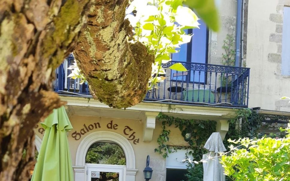 Patio Billede