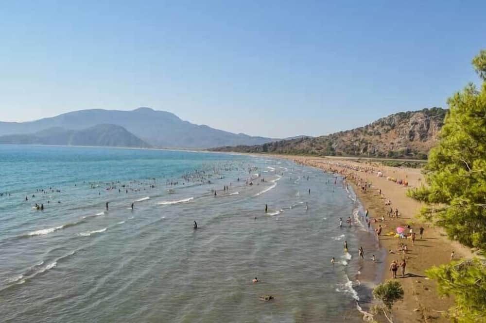 Strand