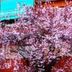 Udsigt