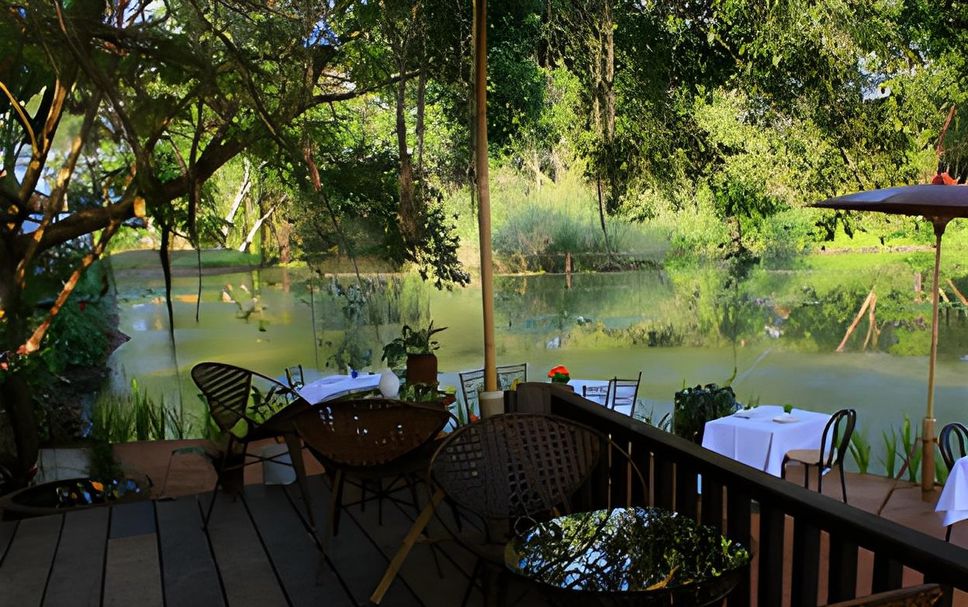 Patio Billede