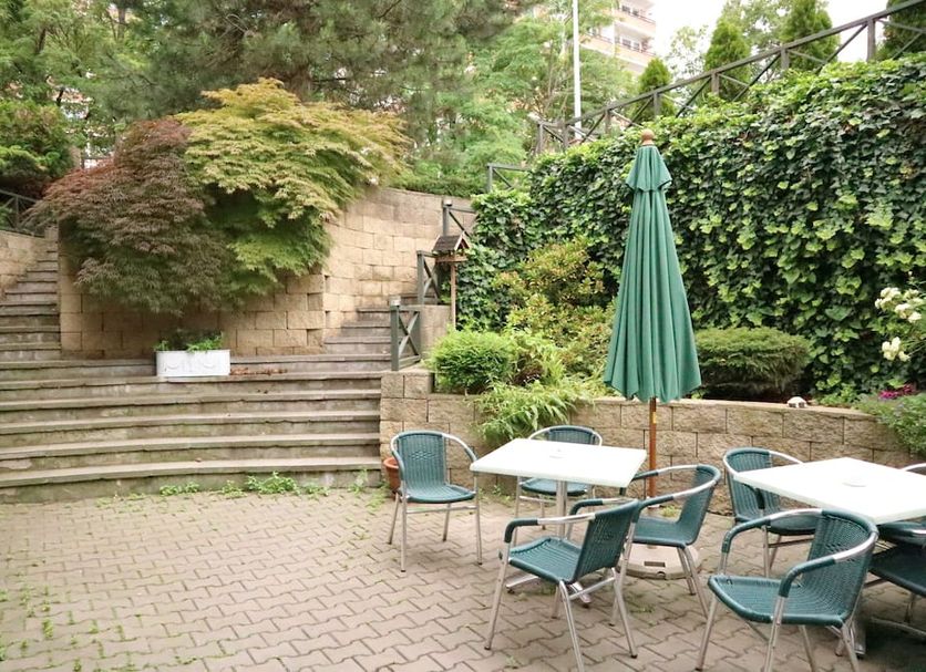 Patio Billede