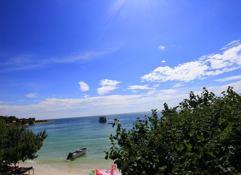 Strand Billede