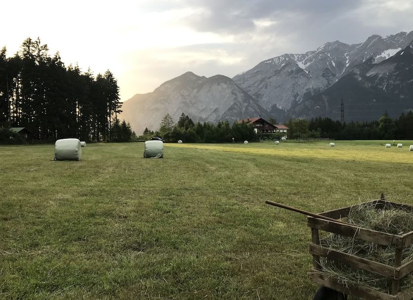Udsigt Billede