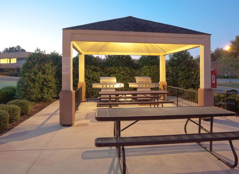 Patio Billede