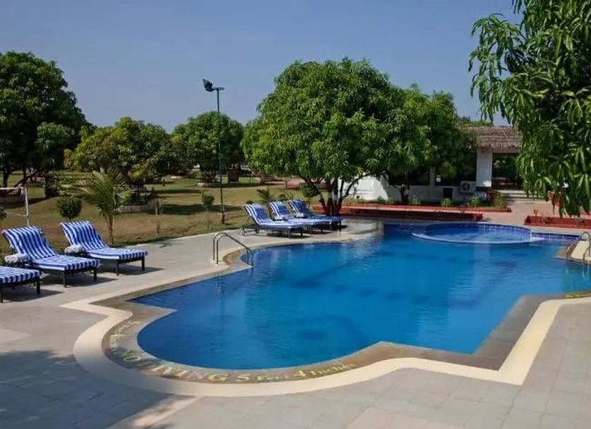 Pool Billede