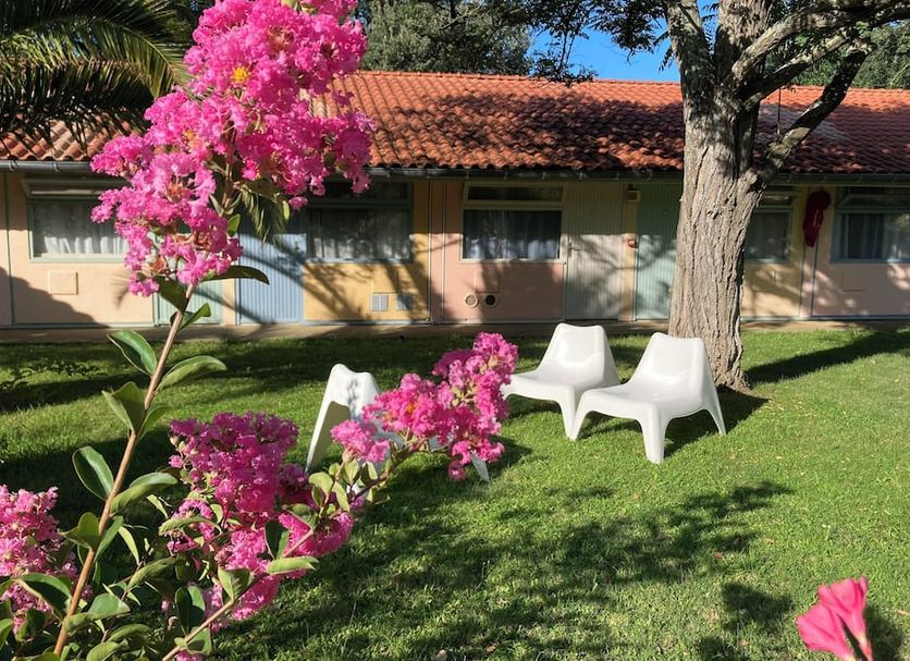 Patio Billede