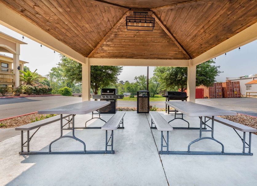 Patio Billede