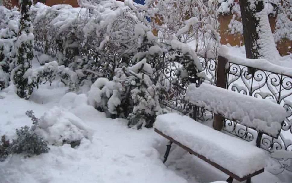 Udsigt Billede