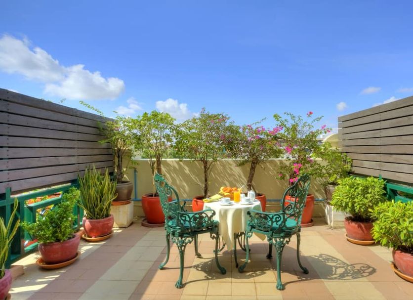 Patio Billede