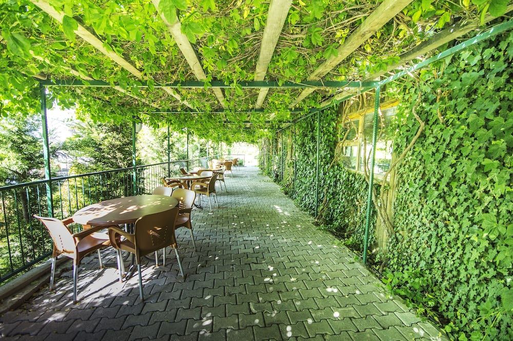 Patio Billede