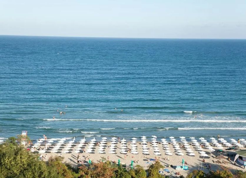 Strand Billede