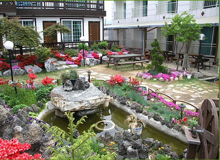 Patio Billede