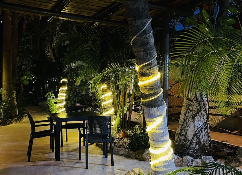 Patio Billede