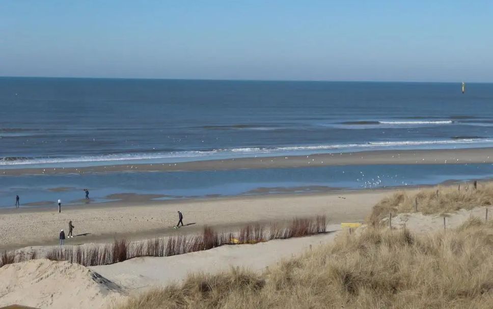 Strand Billede