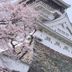 Udsigt