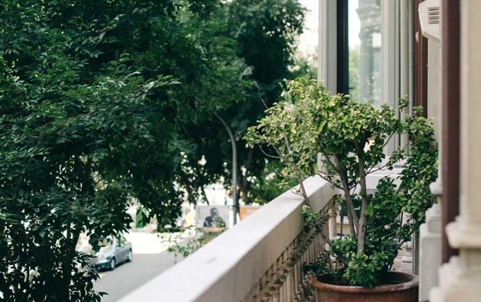 Balkon Billede