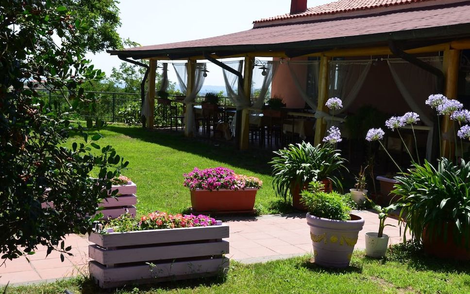 Patio Billede