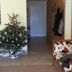 Andet