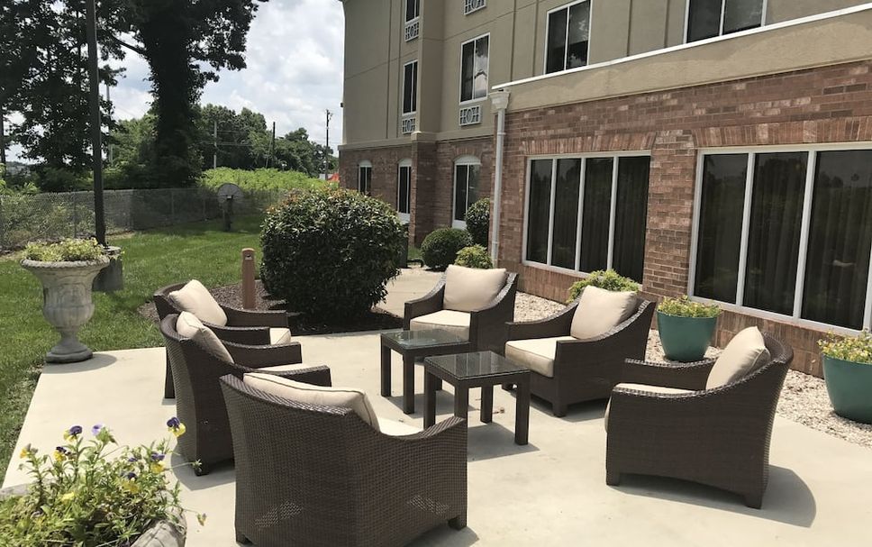 Patio Billede