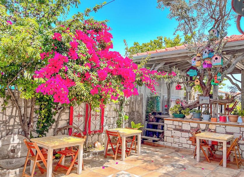 Patio Billede