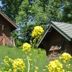 Udsigt